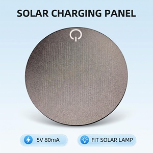 Mini Panel Solar Circular Mono Personalizado de 5V 0.4W con 20% de Eficiencia, Panel Rígido Pequeño para Dispositivos Inteligentes IoT SUNBOY SOLAR SD-80 CE - Product Image 1
