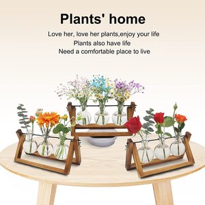 Aria pianta terrario idroponica piante desktop vetro fioriera bulbo vaso di vetro <span class=keywords><strong>con</strong></span> supporto in <span class=keywords><strong>legno</strong></span> stazione di propagazione - Product Image 2