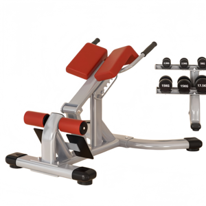 CZFIT Banc de musculation multifonction réglable pour extensions de hanche/chaise romaine et extensions dorsales pour la musculation - Product Image 2