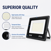 Projecteur LED 50W 100W 200W IP66 Étanche Haute Luminosité Stades Sportifs Contrôle par Application IRC 80 150 Angle de Faisceau
