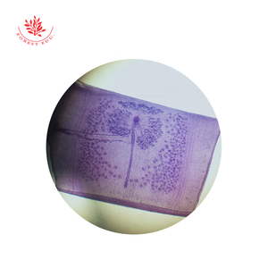 Portaobjetos Preparados, Portaobjetos Médicos, Taeniasis Solium, Parásito Segmentario, Gusano de Tierra, Proglotídeo Maduro, Portaobjetos Preparados de Vidrio - Product Image 6