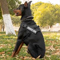 Arnés para Perro Antiexplosión Extensible, Arnés para Mascotas sin Estrangulamiento con Cierre de Hebilla para Perros Medianos y Grandes, Suministros para Mascotas