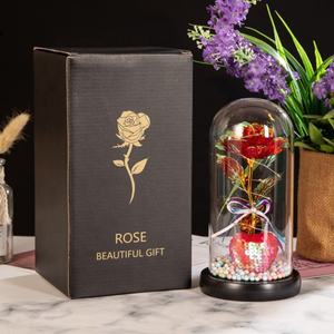 Amore <span class=keywords><strong>romantico</strong></span> all'ingrosso rosa incantata in cupola di vetro con luce a LED anniversario san valentino miglior <span class=keywords><strong>regalo</strong></span> <span class=keywords><strong>per</strong></span> <span class=keywords><strong>lei</strong></span> - Product Image 4