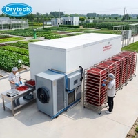 DRYTECH Lange Levensduur Plantain Droogpomp Dehydrator 5.5KW L3200xB2190xH2200mm COC Gecertificeerd 1 Jaar Garantie