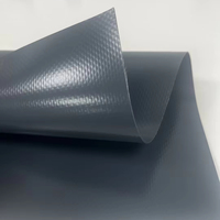 Tissus de membrane tendue en PVC Lona ignifuge M2 900gsm 1050gsm PVDF