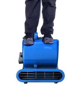 Baer-soplador de aire portátil de 3 velocidades, 900W, Turbo secador de alfombras