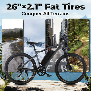 Bicicleta Eléctrica de Montaña para Adultos con Motor Trasero sin Escobillas de 250W, Batería de Litio de 36V 10.4Ah, Alcance de 20km, Venta al Por Mayor OEM/ODM - Product Image 2