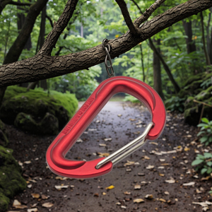 Alüminyum alaşım d-şekil çelik özel karabina ışık kamp balıkçılık yürüyüş ve madencilik anodize bitirmek için eleştirel beğeni topladı - Product Image 2