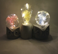 Lampe de nuit en verre en forme de dôme avec base en ciment, avec cypress préservé et guirlande lumineuse LED féerique, pour Noël, décoration de table, cadeau