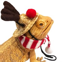 Fournitures pour animaux de compagnie en gros, costume de Noël festif pour dragons barbus |   Chapeau de renne et écharpe rayée | Tenue de vacances ajustable