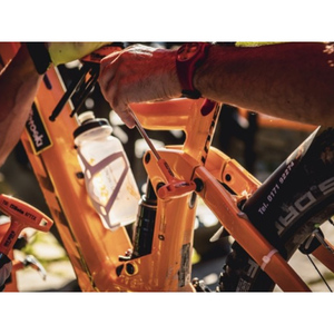 Surtido de 5 llaves macho Torx Beta M55 con asas en bandeja termoformada EVA blanda - Product Image 3