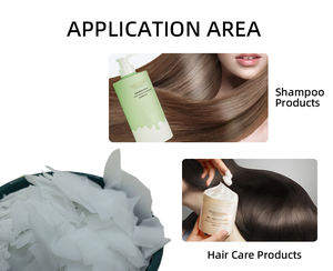 Matière première Behentrimonium Methosulfate Btms 25 Btms 50 Cas 81646 avec prix d'usine - Product Image 2