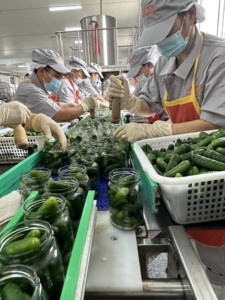 Dưa chuột tươi đóng hộp dưa chuột bé-Đóng hộp-Thùng số lượng lớn - Product Image 6