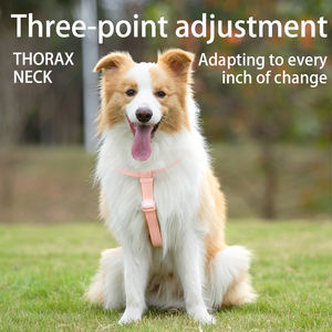 Sunraymascoca tali kustom silikon Harness anjing tahan air PVC karet Harness anjing Step in Dog Harness - Product Image 6