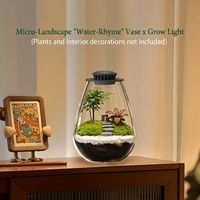 Conteneur intelligent pour micro-paysage, vase en verre haute transparence avec lampe de culture LED pour plantes d'intérieur, décoration de bureau