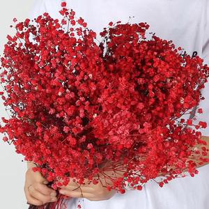 Nuevo 2026, Flor Seca Preservada, Gypsophila <span class=keywords><strong>Paniculata</strong></span>, Recuerdos de Boda, Decoración de Pared, Día de la Madre, Navidad - Product Image 5