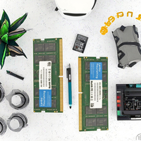 Lanbo Flourishing DDR5 ECC RAM for Laptop 16GB/8GB 4800MHz Private Mold in Stock