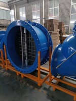 Válvula de Retención de Mariposa de Cierre Lento y Baja Resistencia DN50-DN1200 Tipo Brida para Tuberías de Agua con Sellado EPDM