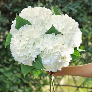 Hydrangea artificielle à 132 pétales, fleur en soie blanc crème, décoration de mariage, décoration de la maison, accessoires de photographie en extérieur - Product Image 2