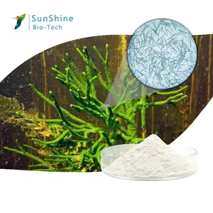 전문 공장 99.51% spongila Spicule 식물 추출물 스킨 케어 현금 상품 효과적인 안티 여드름 화장품 성분