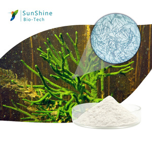Spongilla Spicule Factory สารสกัดจากผลิตภัณฑ์ดูแลผิวเงินสดที่มีประสิทธิภาพส่วนผสมเครื่องสำอางป้องกันสิว99.51% - Product Image 1