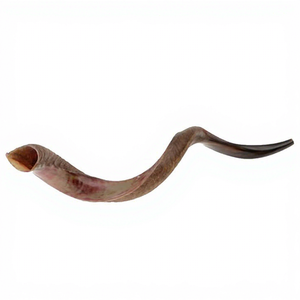 Shofar artisanal en corne de buffle naturelle, instrument religieux traditionnel en corne de bélier pour la cérémonie juive, prière de Rosh Hashanah - Product Image 1