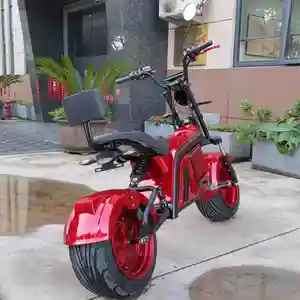 Электрический скутер SF CITYCOCO, передний и задний гидравлический дисковый тормоз с толстыми шинами для инвалидов, 1500 Вт-2000 Вт