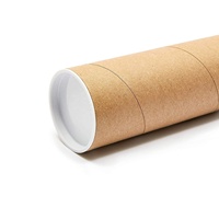 En Existencia, Caja de Embalaje Ecológica de Cartón Kraft en Forma de Cilindro para Pósteres, Caja de Envío con Tapas de Plástico