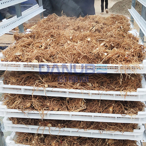 High Precision Herb Drying Room Bletilla Striata Drying Oven Room Bletilla Striata Dehydrator Machine - Product Image 3