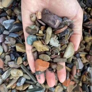 Levendig gekleurde keramiek, milieuvriendelijk aquariumsubstraat voor visbakdecoratie en terrariumlandschap - Product Image 1