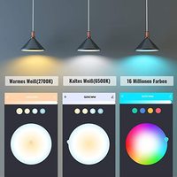 Ampoule LED intelligente certifiée ES pour l'Amérique du Nord, en plastique, avec commande vocale Alexa, RGB-CW, culot E12, pour jardin