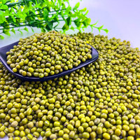 Vente en gros de pousses de haricot mungo et de haricots verts séchés de qualité supérieure, emballage en vrac de 25 kg pour usage alimentaire à prix compétitif