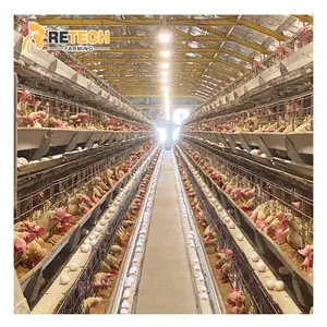 Hot Sale A type Laying Hens Battery Poultry Farm Egg Layer Chicken Cage For Ghana