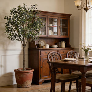 Arbre d'olivier artificiel d'usine, vente en gros, arbre d'olivier en plastique écologique noir pour décoration intérieure avec un aspect naturel - Product Image 5