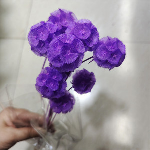 Accesorios de Flores Preservadas de China, Fruta de <span class=keywords><strong>Gusano</strong></span> de <span class=keywords><strong>Pino</strong></span> de una Sola Cabeza, Fruta Molino de Viento, Material para Manualidades, Caja de Flores con Tapa de Vidrio, Venta al por Mayor - Product Image 6