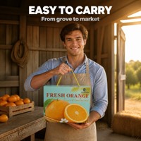 Boîte cadeau personnalisée avec logo, imperméable, pour fruits et légumes, emballage en carton ondulé avec poignée, écologique, recyclable, OEM, vente en gros