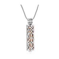 Collier urne cœur de luxe en acier inoxydable 316L, étanche, sans plomb, sans nickel, pour cendres d'animaux, pendentif crémation personnalisé