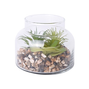 Hot Verkoop Glas Plant <span class=keywords><strong>Terrarium</strong></span> Pot Met Kunstmatige Succulent - Product Image 2