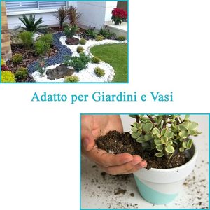 Terriccio per Piante Grasse 5L Qualità Superiore Con Osmocote - Product Image 3