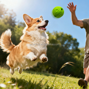 Pelota de Juguete para Mascotas Yinuo, Suave, con Estampado de Huella Verde, Resistente a Mordeduras, Irrompible, Divertida, Interactiva para Perros - Product Image 4