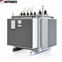 Transformateur de distribution d'énergie triphasé immergé dans l'huile Wanbo-265 à économie d'énergie S13 10kV 100kVA à enroulement en cuivre