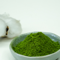 Poudre de menthe naturelle pour boissons et confiseries