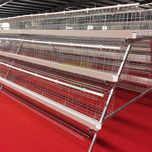 Cage à poulets de type A en acier Q235 galvanisé à chaud à 3 niveaux et 5 portes avec abreuvoirs, longue durée de vie <span class=keywords><strong>pour</strong></span> élevages avicoles - Product Image 6