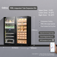 Réfrigérateur à vin à compresseur double zone, armoire à vin à refroidissement par air, sans givre, pour la maison, le bar ou le bureau