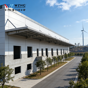 Hangar de Gran Envergadura con Estructura de Acero, Almacén, Apartamento, Taller, Hospital, Diseño Industrial, Construcción de Alta Calidad, Sur - Product Image 1