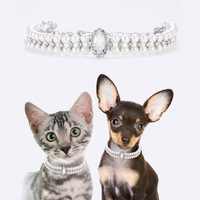 Collier en cuir multicolore pour chat, accessoire pour chien de petite et moyenne taille
