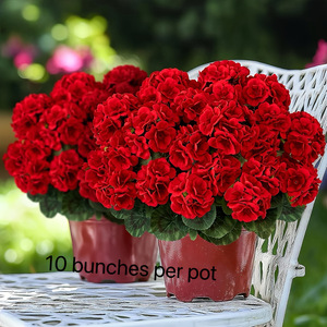 <span class=keywords><strong>50</strong></span> Pezzi <span class=keywords><strong>Rose</strong></span> <span class=keywords><strong>Rosse</strong></span> Artificiali, Fiori al Tatto Realistici in Velluto, Bouquet di <span class=keywords><strong>Rose</strong></span> Artificiali in Seta, Fiori Finti Resistenti ai Raggi UV - Product Image 6