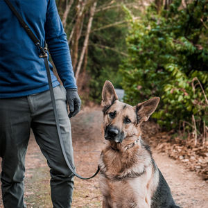 Guinzaglio lungo da addestramento per cani impermeabili lungo cavo di richiamo esterno pesante per cani di piccole dimensioni - Product Image 6