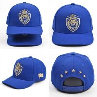 Casquette Snapback Structurée Bleu Royal OEM Premium en Sergé avec Broderie 3D Couronne et Bouclier Lion Doré pour Équipe Sportive