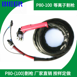 P80 Plasma Cutting Torch 5M 8 Sqm Single Phase Compressed Air For Metal Cutting - Product Image 1